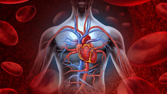 Ağır mental hastalık ve kardiyovasküler hastalıklar arasındaki ilişki