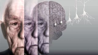 Yaşam stili risk faktörleri, Demans ve yaşlanma