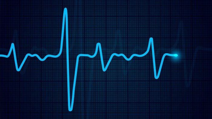 Profesör Doktor Günsel Koptagel-İlal Hocanın ardından