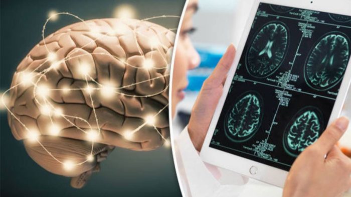 Beynin şeker dedektifleri: Kan glikozunu izleyen nöronlar