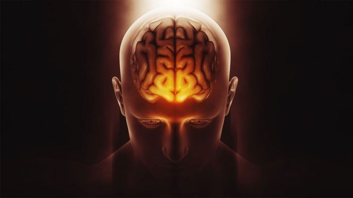 Nefret söylemi beynin empati tepkilerini köreltiyor