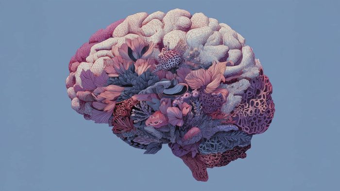 Psikoterapi, depresyon hastalarının beyninde yapısal değişikliklere yol açıyor