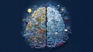 Beynin derinliklerine uzanan bir dokunuş