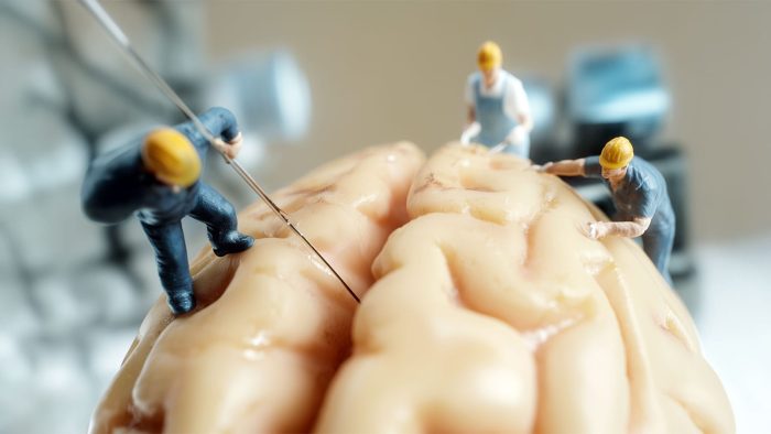 Beyindeki 'yalnızlık devresi'ne müdahale ile sosyal dünyayı daha az korkutucu yapmak mümkün