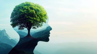 Beyin doğayı neden sever?